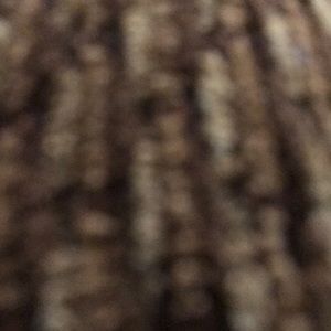 Meet your Posher, Preet